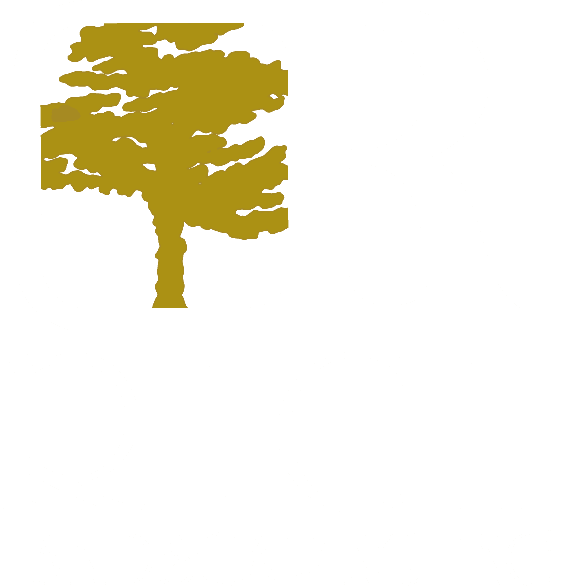 blog-rich-landscaping