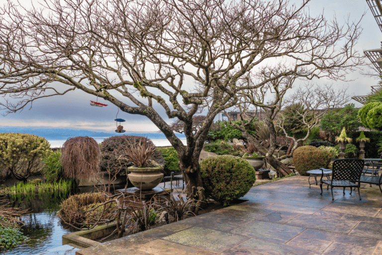 Ultimate Guide to Landscape Construction: What Every Homeowner Should Know
