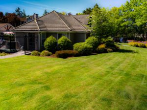 7 Principles of Landscape Design for Your Dream Garden