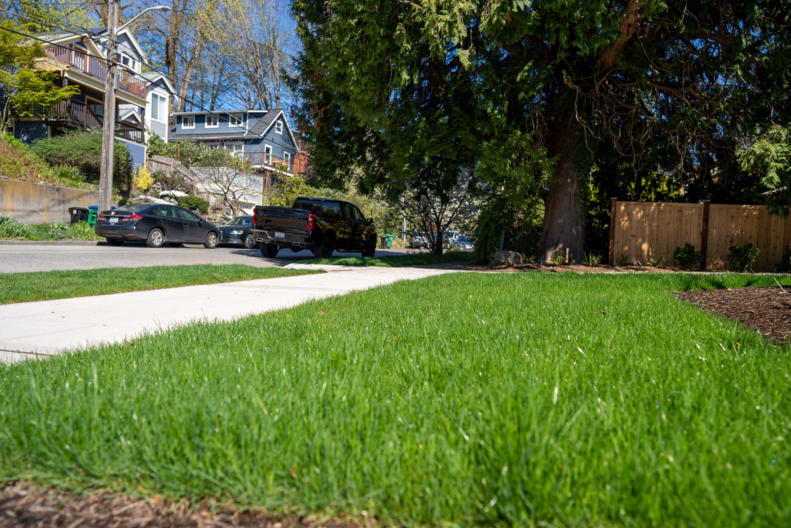 synthetic turf grass