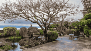 5 Common Landscape Design Mistakes and How to Avoid Them