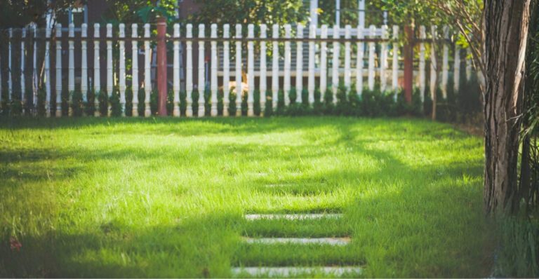 Why Your Yard Looks Basic — And the Design Principles That Fix It