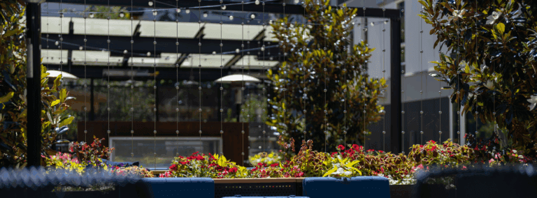 Luxury Landscape Lighting Ideas for Upscale Outdoor Designs